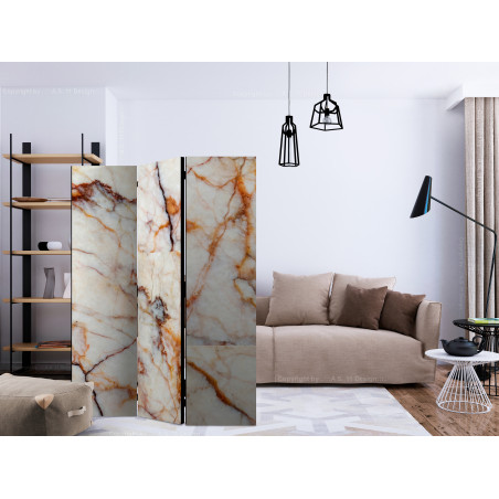 Paravan Marble Plate [Room Dividers] 135 cm x 172 cm-01