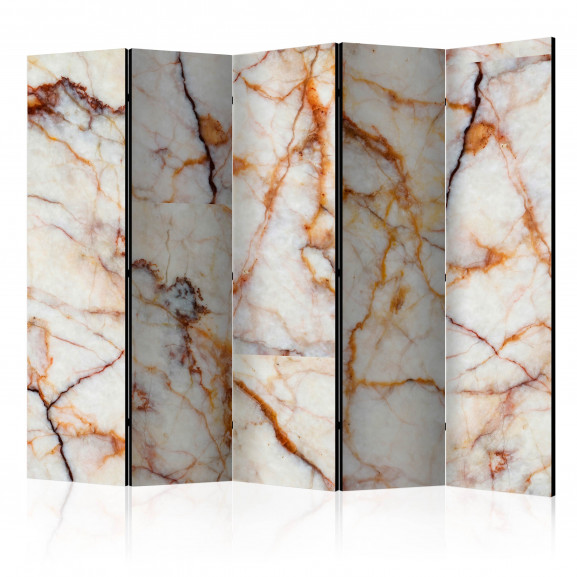 Paravan Marble Plate Ii [Room Dividers] 225 cm x 172 cm