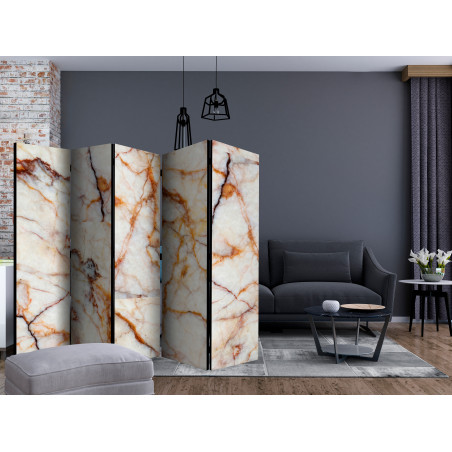 Paravan Marble Plate Ii [Room Dividers] 225 cm x 172 cm-01