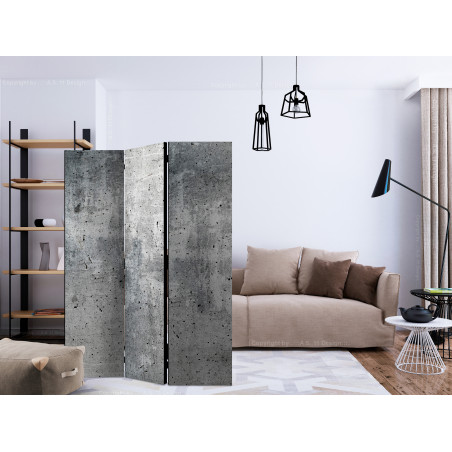 Paravan Fresh Concrete [Room Dividers] 135 cm x 172 cm-01