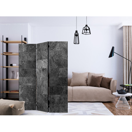 Paravan Shade Of Grey [Room Dividers] 135 cm x 172 cm-01