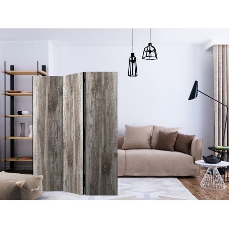 Paravan Stylish Wood [Room Dividers] 135 cm x 172 cm-01