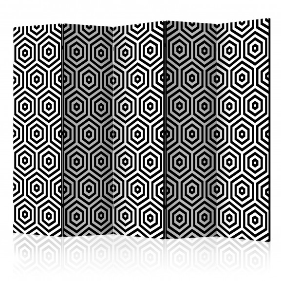 Paravan Black And White Hypnosis Ii [Room Dividers] 225 cm x 172 cm