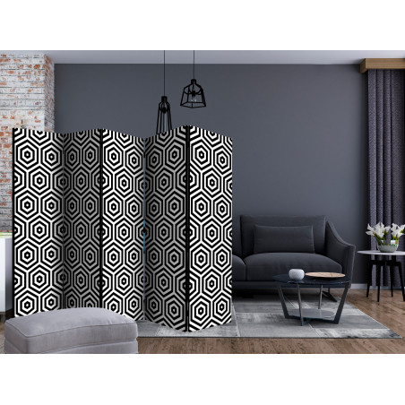 Paravan Black And White Hypnosis Ii [Room Dividers] 225 cm x 172 cm-01