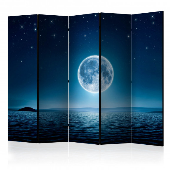 Paravan Moonlit Night Ii [Room Dividers] 225 cm x 172 cm