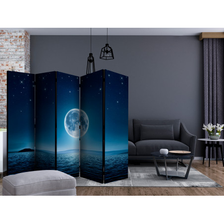 Paravan Moonlit Night Ii [Room Dividers] 225 cm x 172 cm-01