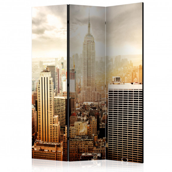 Paravan Uncombed By Wind [Room Dividers] 135 cm x 172 cm